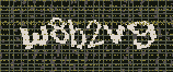 CAPTCHA_picture